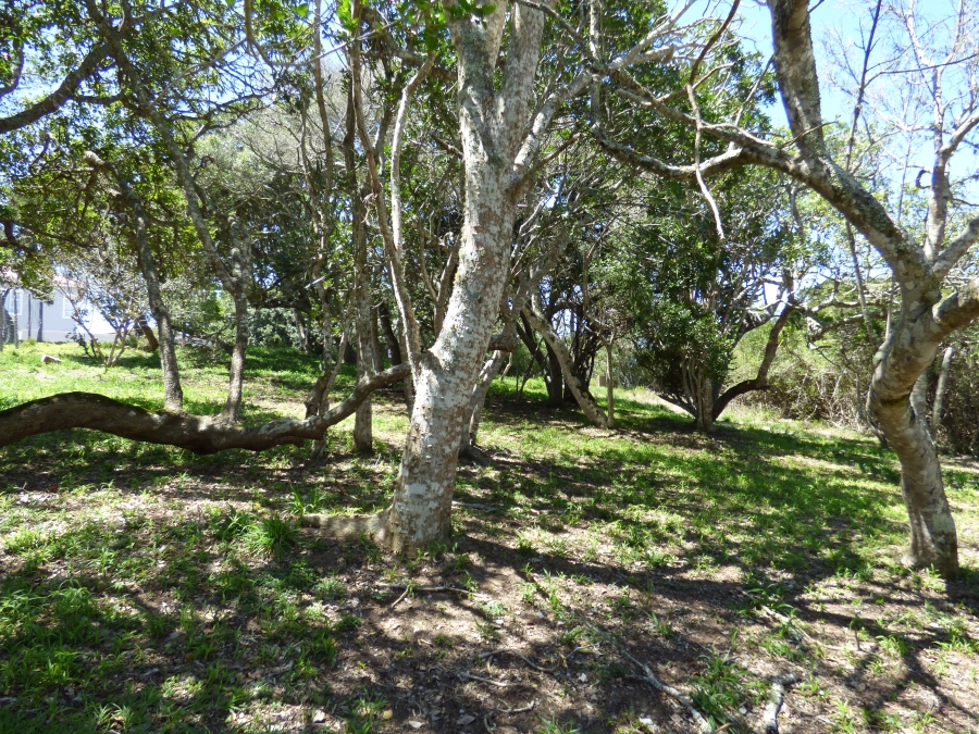 0 Bedroom Property for Sale in Kleinemonde Eastern Cape